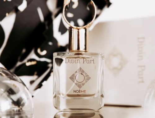 New — French niche perfume NOEME